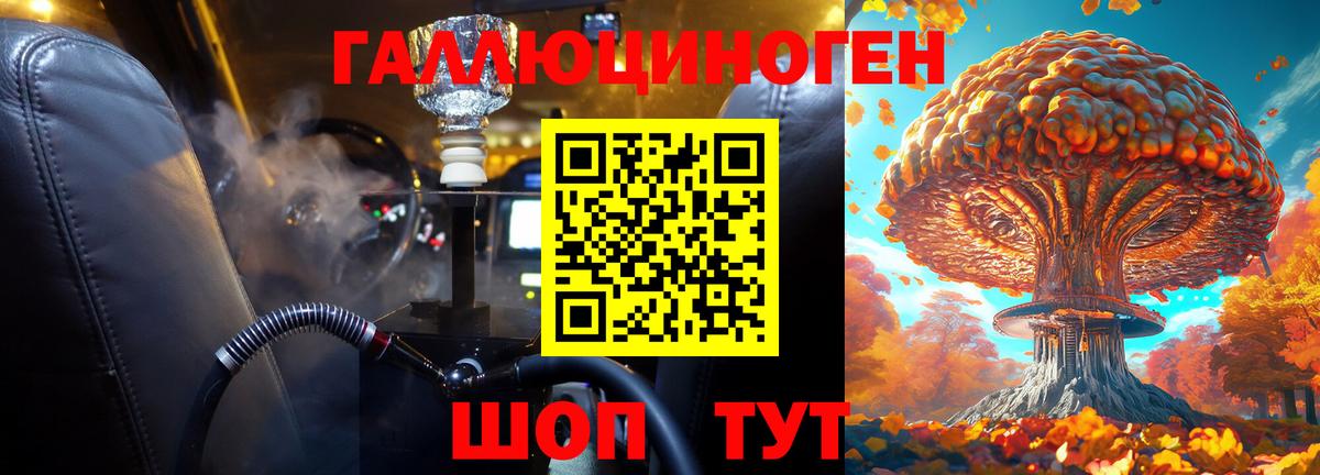 Галлюциногенные грибы Psilocybe Новочеркасск