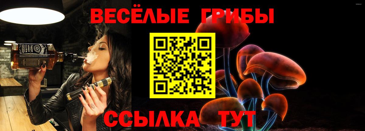Галлюциногенные грибы Cubensis  Вход с VPN  наркошоп  Новочеркасск 